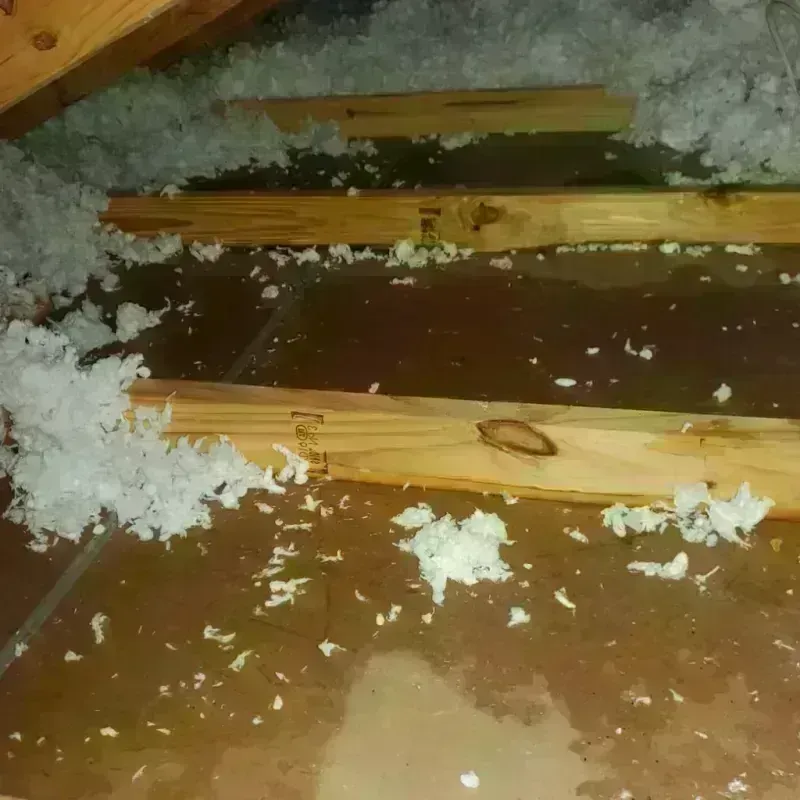 Attic Water Damage in Lincolnia, VA