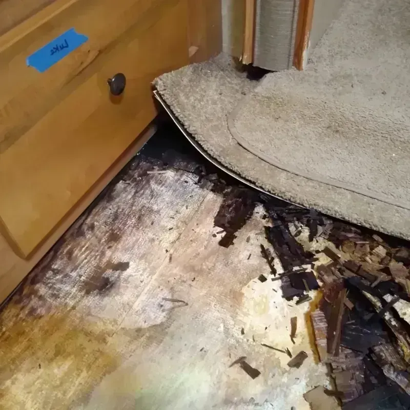 Best Wood Floor Water Damage Service in Lincolnia, VA